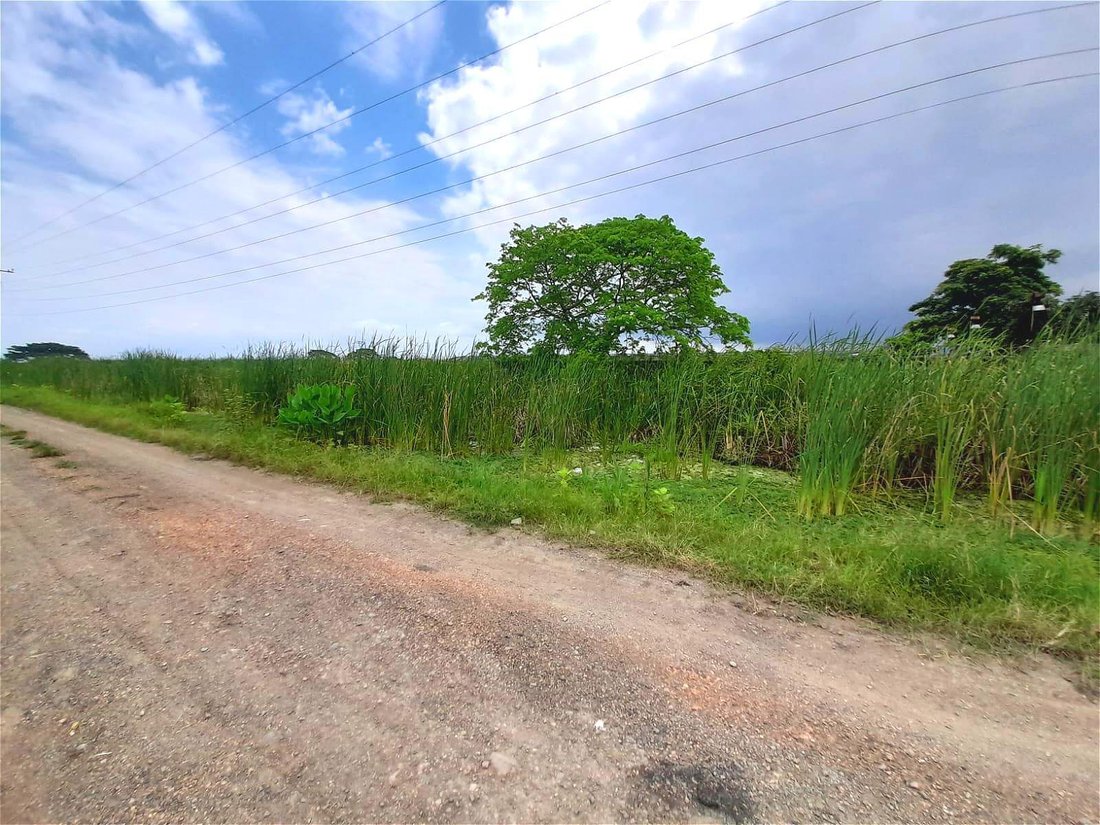 Land in Duran, Guayas, Ecuador 1 - 18660081