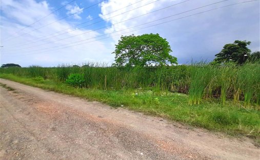 Land in Duran, Guayas, Ecuador 1