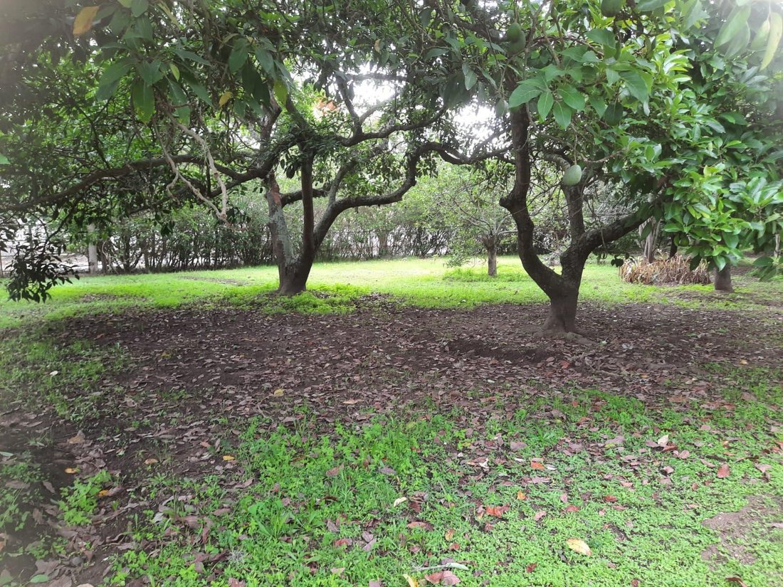 Land in Quito, Pichincha, Ecuador 1 - 18660455
