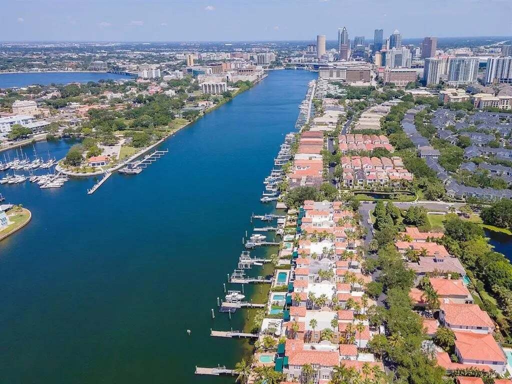 House in Tampa, Florida, United States 2 - 18665332