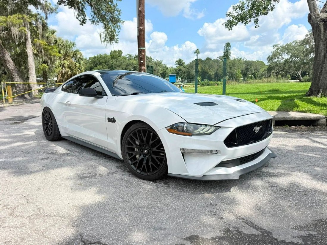 Coupe in Tampa, FL, United States 1 - 18664767