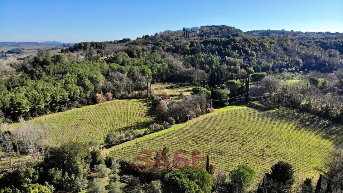 Estate in Montescudaio, Tuscany, Italy 2 - 18668064