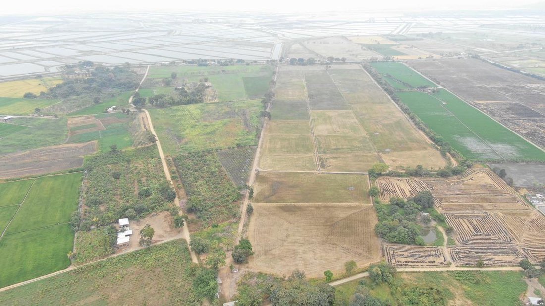 Farm Ranch in Taura, Guayas, Ecuador 2 - 18660338