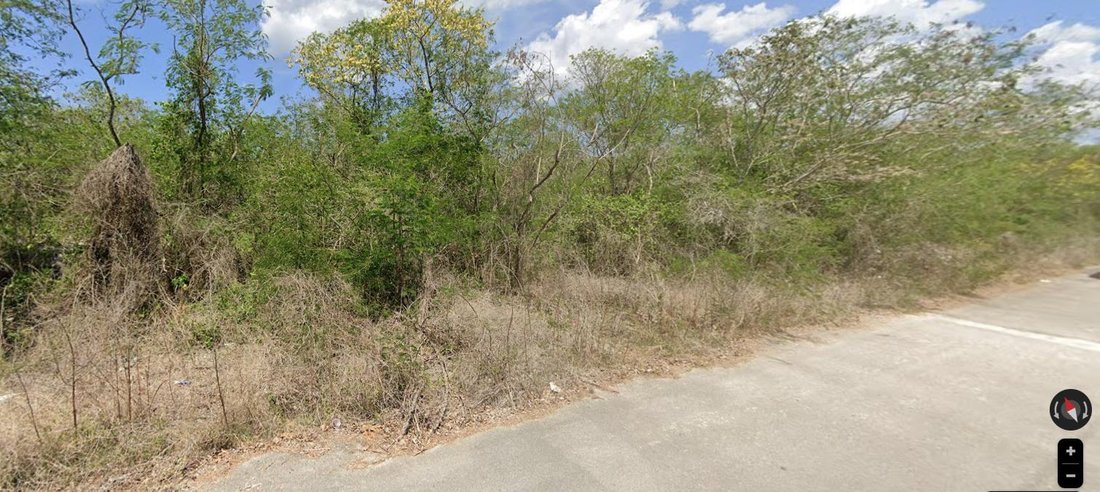 Land in Mérida, Yucatan, Mexico 5 - 18668190