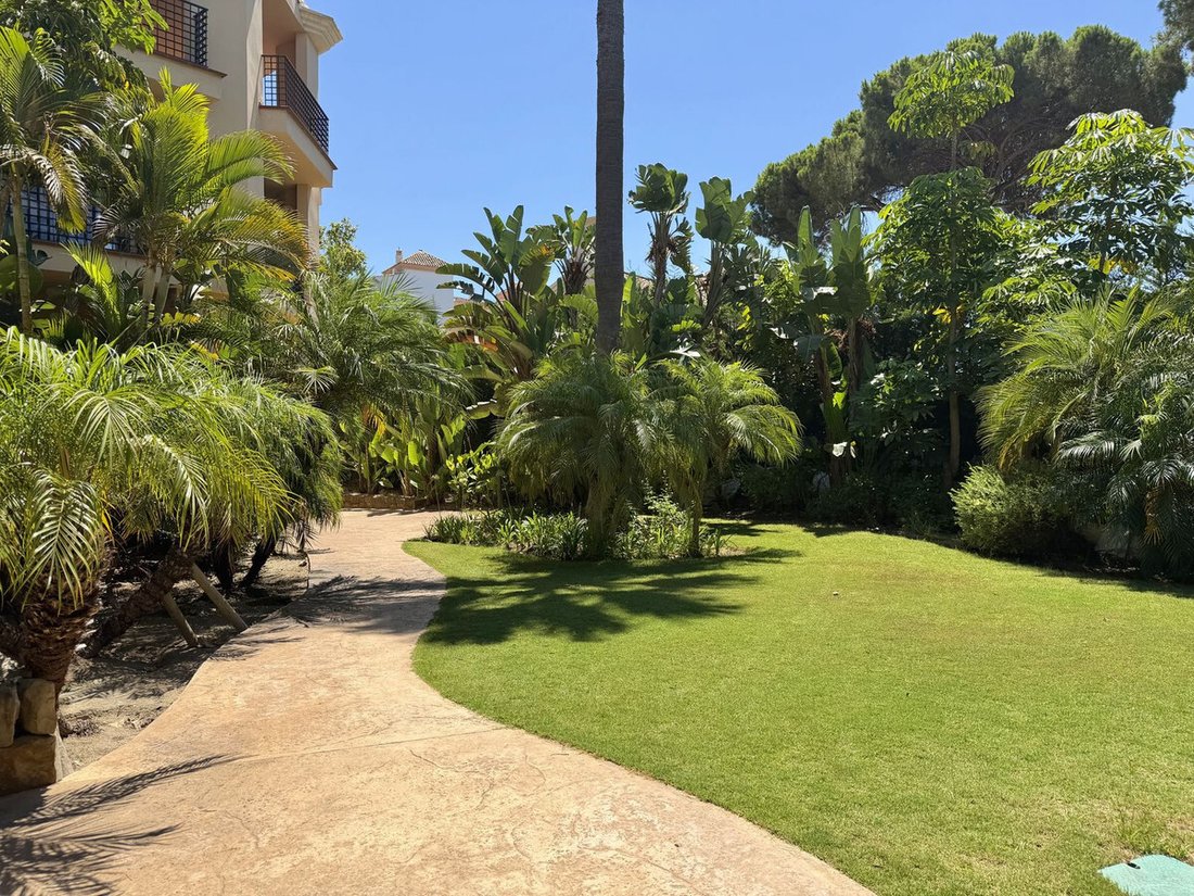 Apartment in Puerto Banus, Marbella, Spain 5 - 18667638