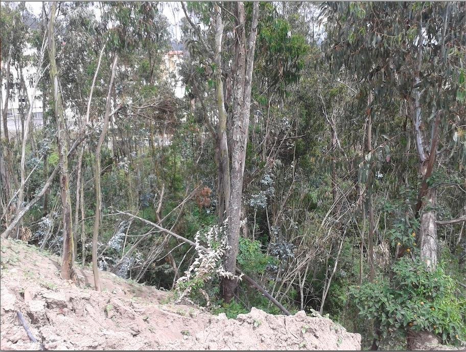 Land in Quito, Pichincha, Ecuador 4 - 18661645