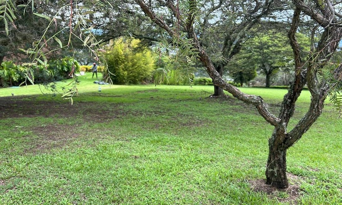 Land in Quito, Pichincha, Ecuador 5 - 18661627