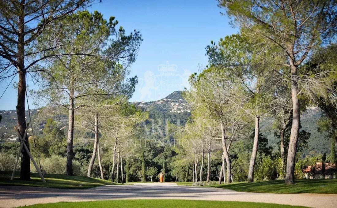 Estate in Le Grand Duc-Minelle, Mandelieu-la-Napoule, France 5 - 18662071