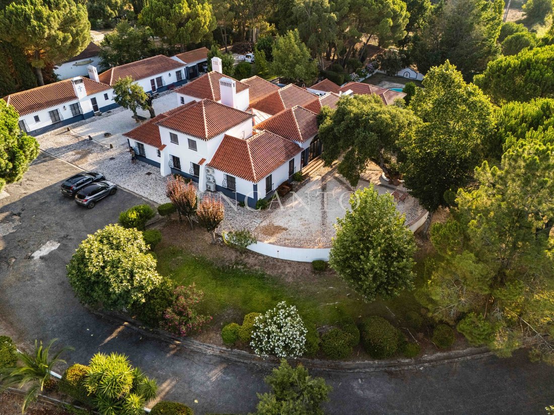 Finca in Santo Estevao, Santarem District, Portugal 3 - 18660917