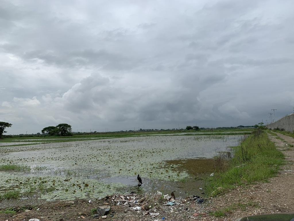 Land in Samborondón, Guayas, Ecuador 2 - 18660778