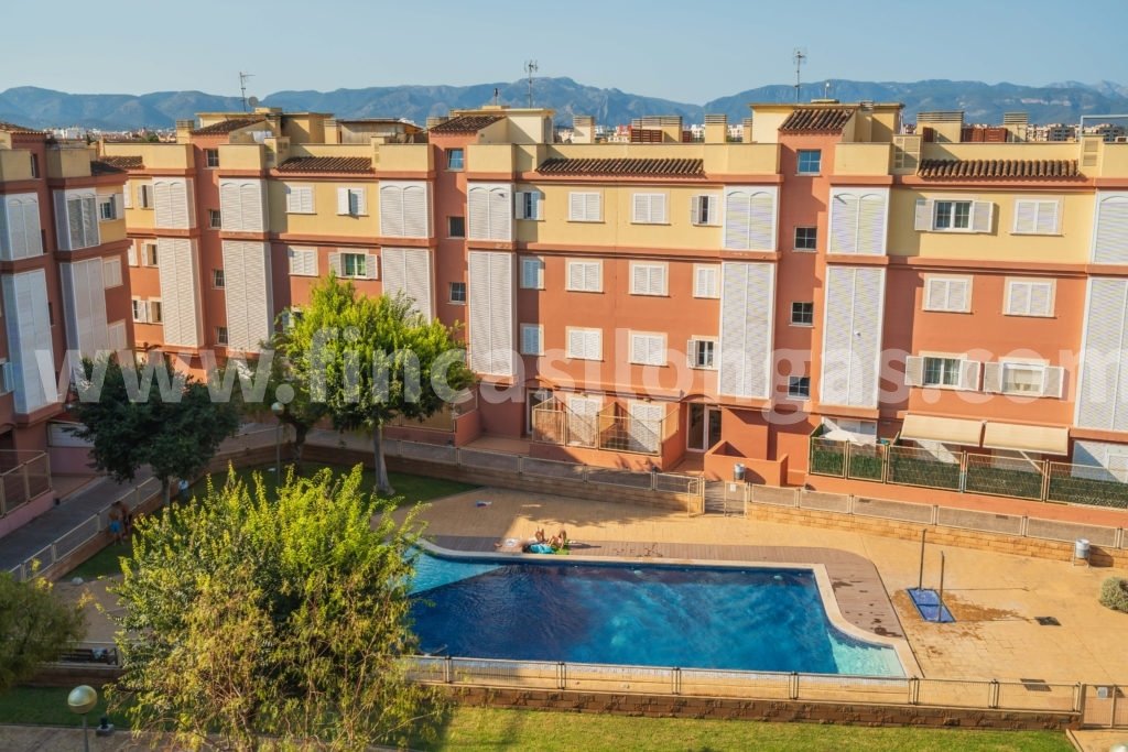 Apartment in Palma, Balearic Islands, Spain 3 - 18365345