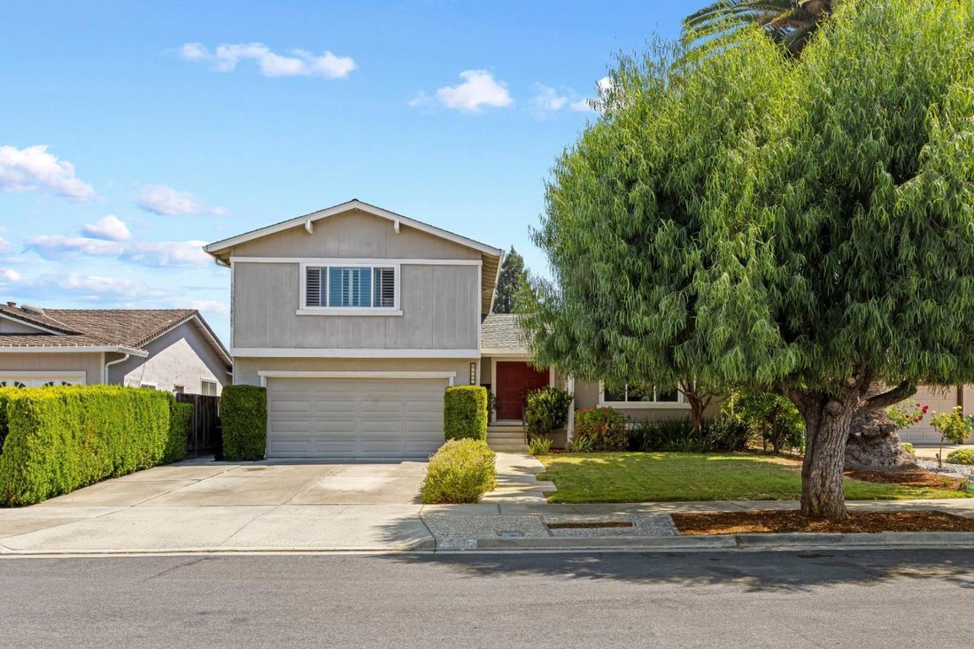 House in San Jose, California, United States 1 - 18659949