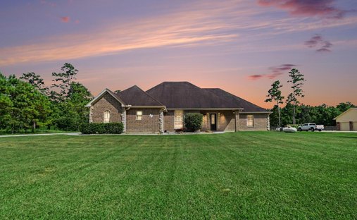 Maison à Alvin, Texas, États-Unis 1