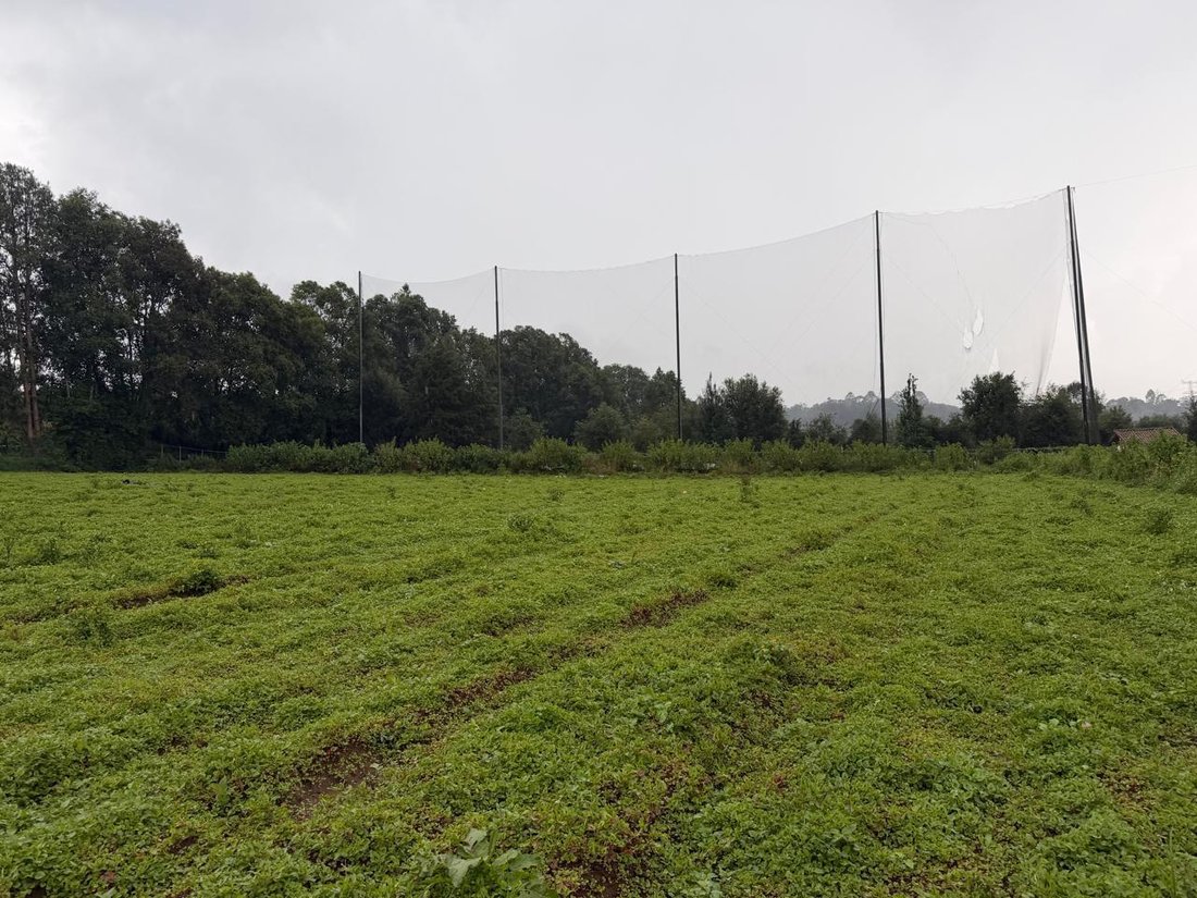 Land in San Simón el Alto, State of Mexico, Mexico 1 - 18672521
