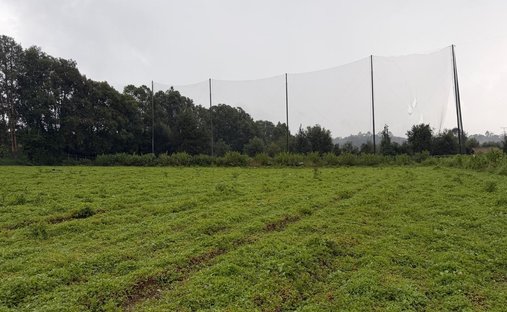 Terreno a San Simón el Alto, Stato del Messico, Messico 1