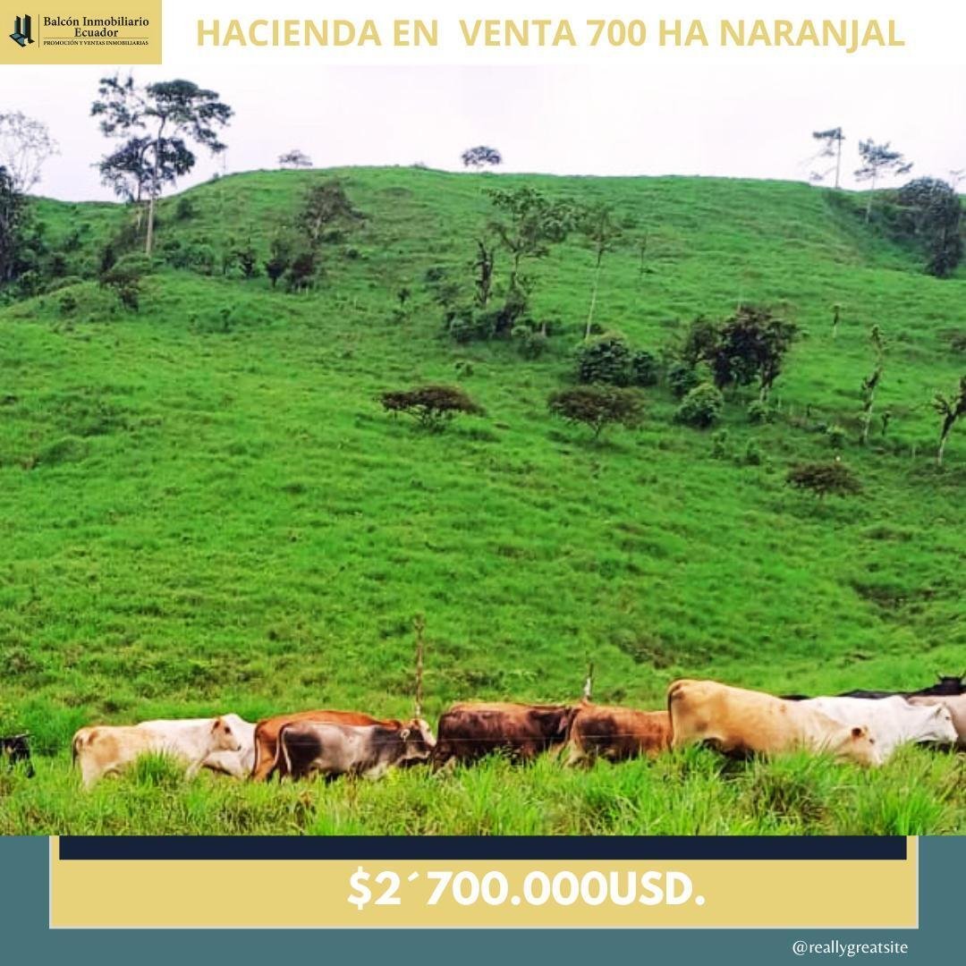 Farm Ranch in Naranjal, Guayas, Ecuador 3 - 18661461