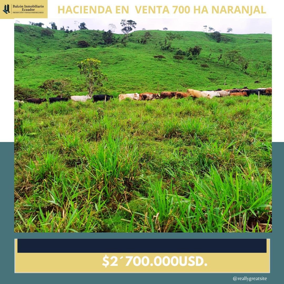 Farm Ranch in Naranjal, Guayas, Ecuador 2 - 18661461