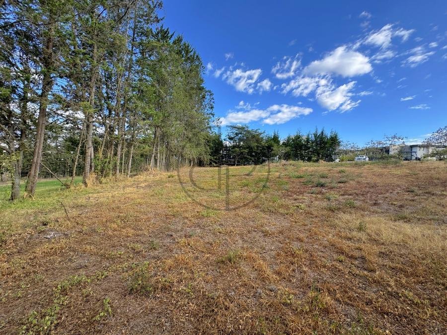 Land in Quito, Pichincha, Ecuador 3 - 18661156