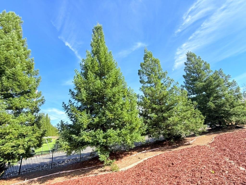 House in Granite Bay, California, United States 3 - 18662692