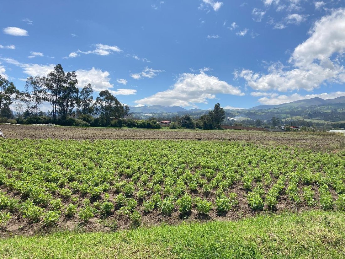 Land in Quito, Pichincha, Ecuador 1 - 18660228