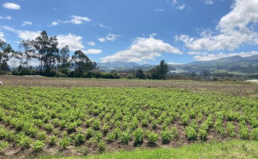 Land in Quito, Provinz Pichincha, Ecuador 1