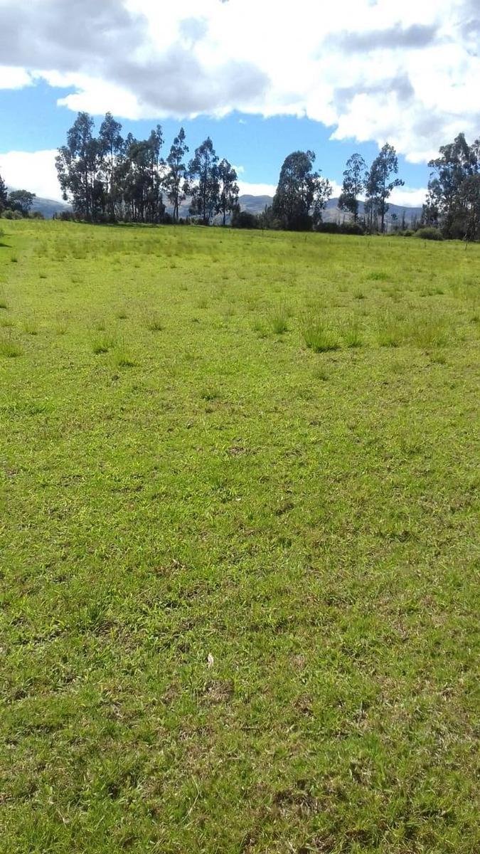 Land in Quito, Pichincha, Ecuador 1 - 18661421