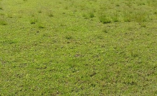 Land in Quito, Provinz Pichincha, Ecuador 1