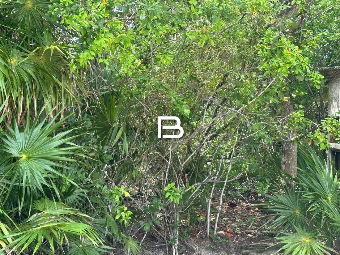 Land in Punta Sam, Quintana Roo, Mexico 5 - 18661559