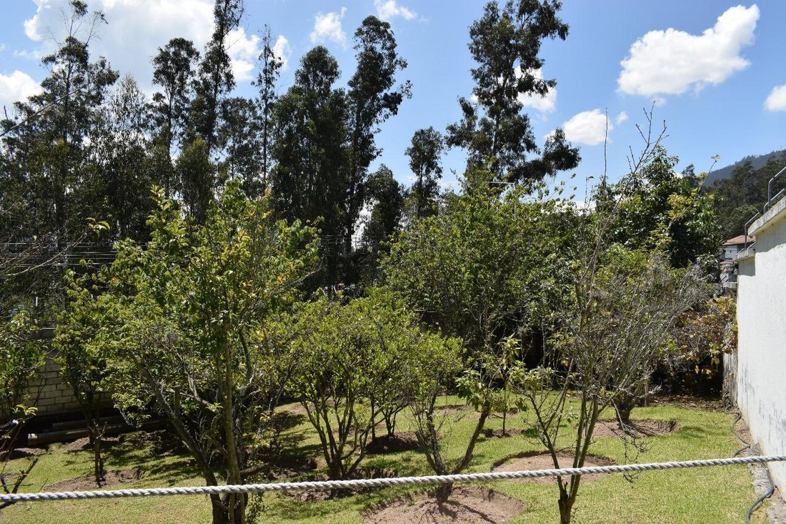 Land in Quito, Pichincha, Ecuador 3 - 18661526