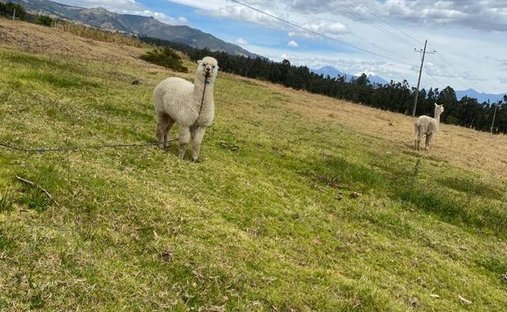 Rancho en Quito, Pichincha, Ecuador 1