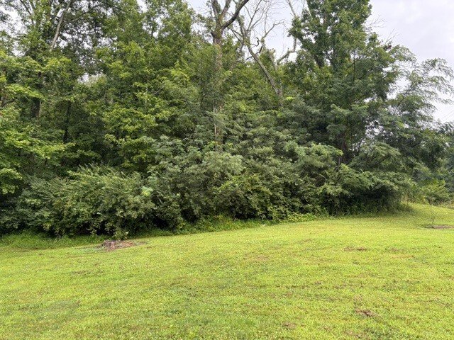 Land in Franklin, Tennessee, United States 4 - 18665411