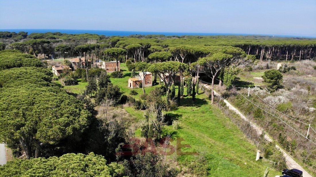Estate in Castagneto Carducci, Tuscany, Italy 1 - 18668072