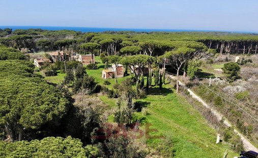 Estate in Castagneto Carducci, Tuscany, Italy 1