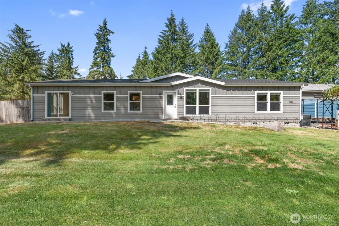 Rochester, Washington, United States 4 - 18660561