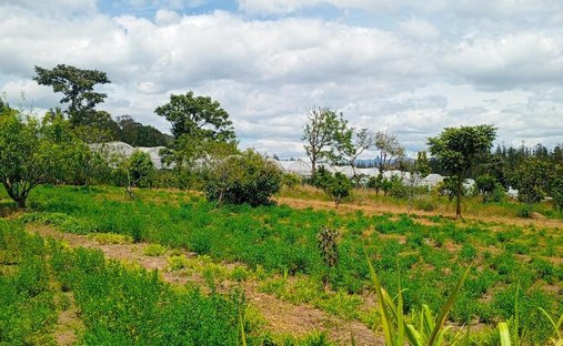 Terreno en Quito, Pichincha, Ecuador 1