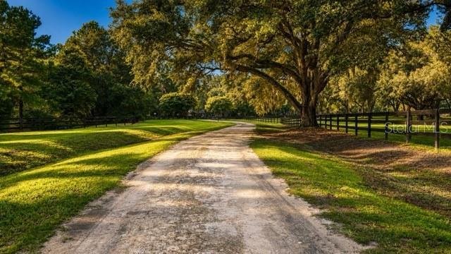 Farm Ranch in Newberry, Florida, United States 3 - 18659227