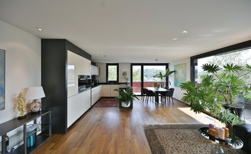 Apartment in Bottmingen, Basel-Landschaft, Switzerland 1