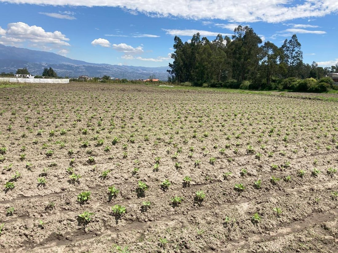 Land in Quito, Pichincha, Ecuador 3 - 18660228