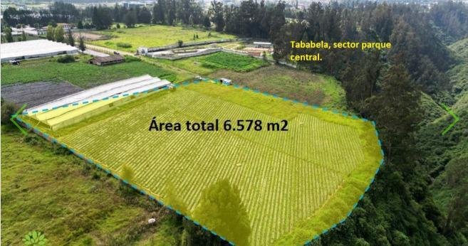 Land in Quito, Pichincha, Ecuador 2 - 18660681