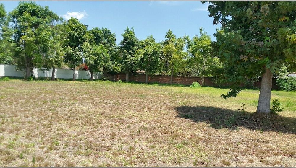 Land in Quito, Pichincha, Ecuador 1 - 18661664