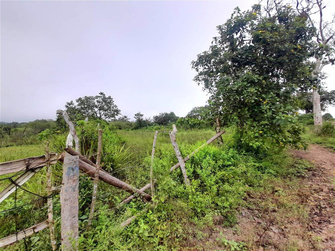 Land in Aromo, Manabí, Ecuador 3 - 18660020