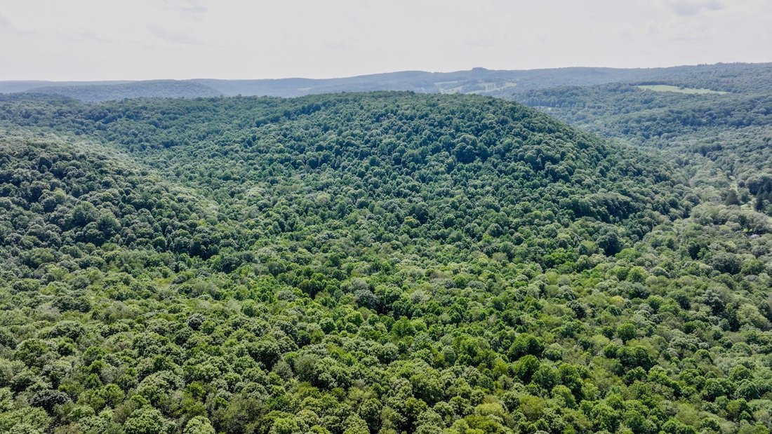 Land in Stahlstown, Pennsylvania, United States 3 - 18659045