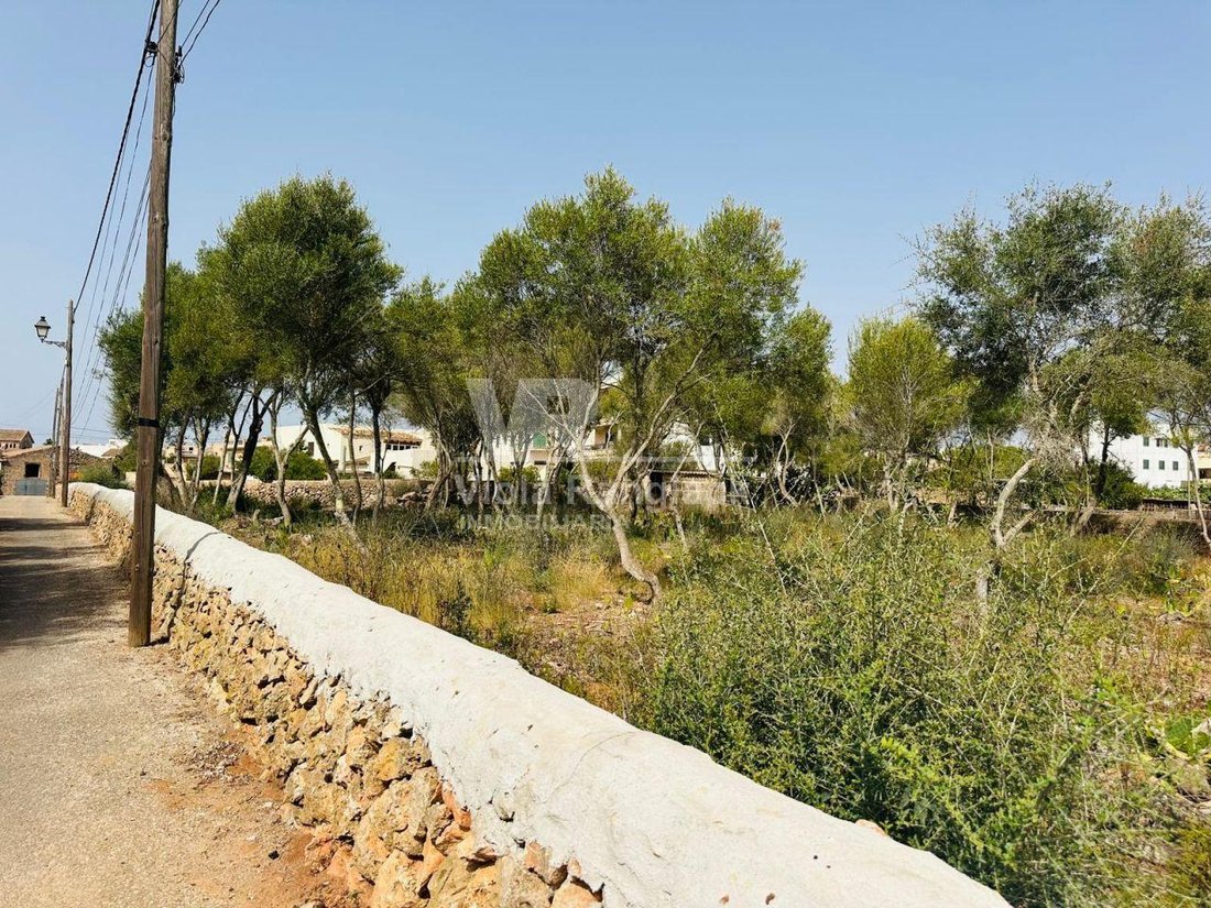 Land in Santanyi, Balearic Islands, Spain 4 - 18667785