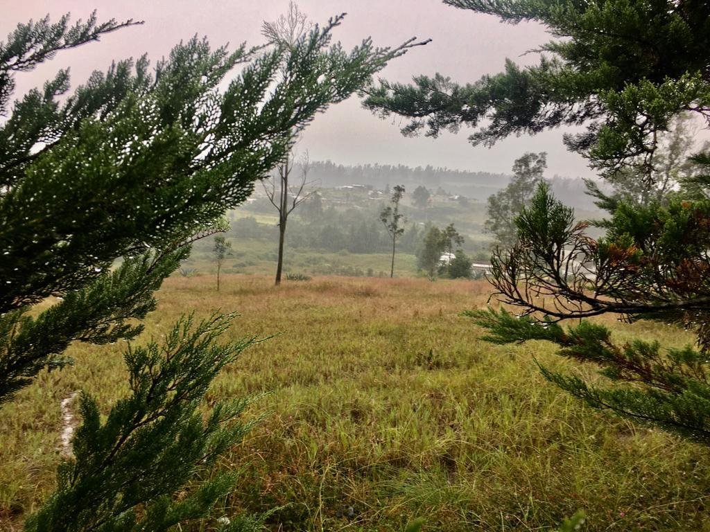 Land in Quito, Pichincha, Ecuador 3 - 18661450