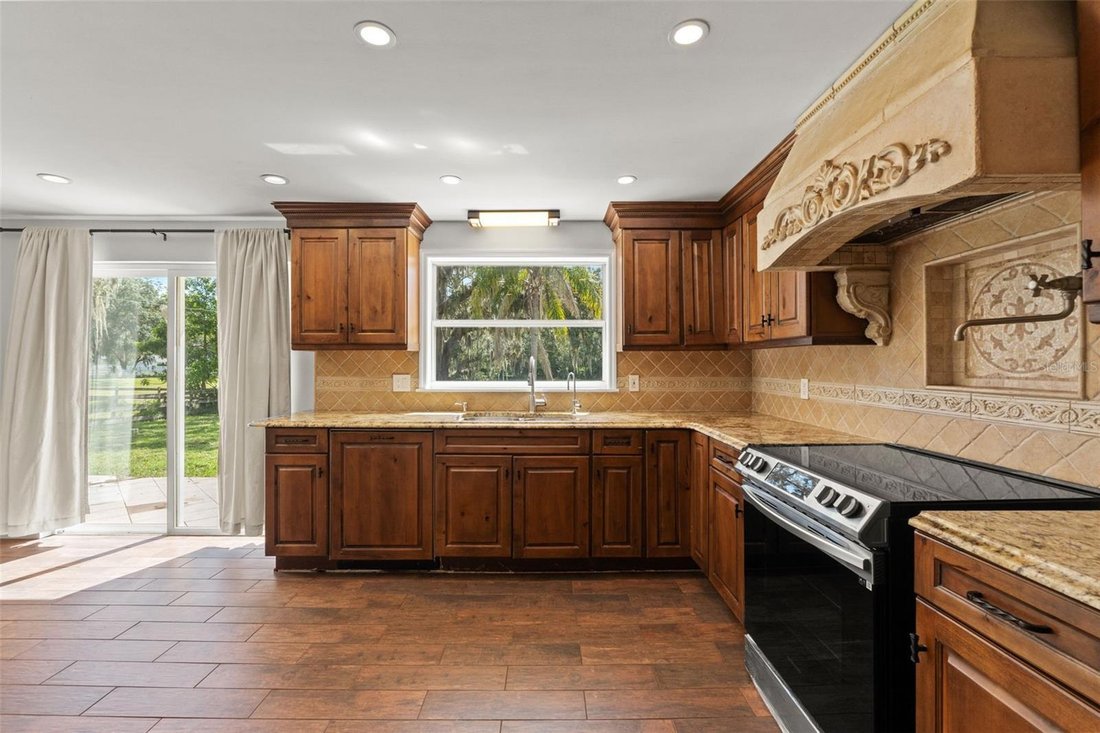 House in New Port Richey, Florida, United States 3 - 18659242