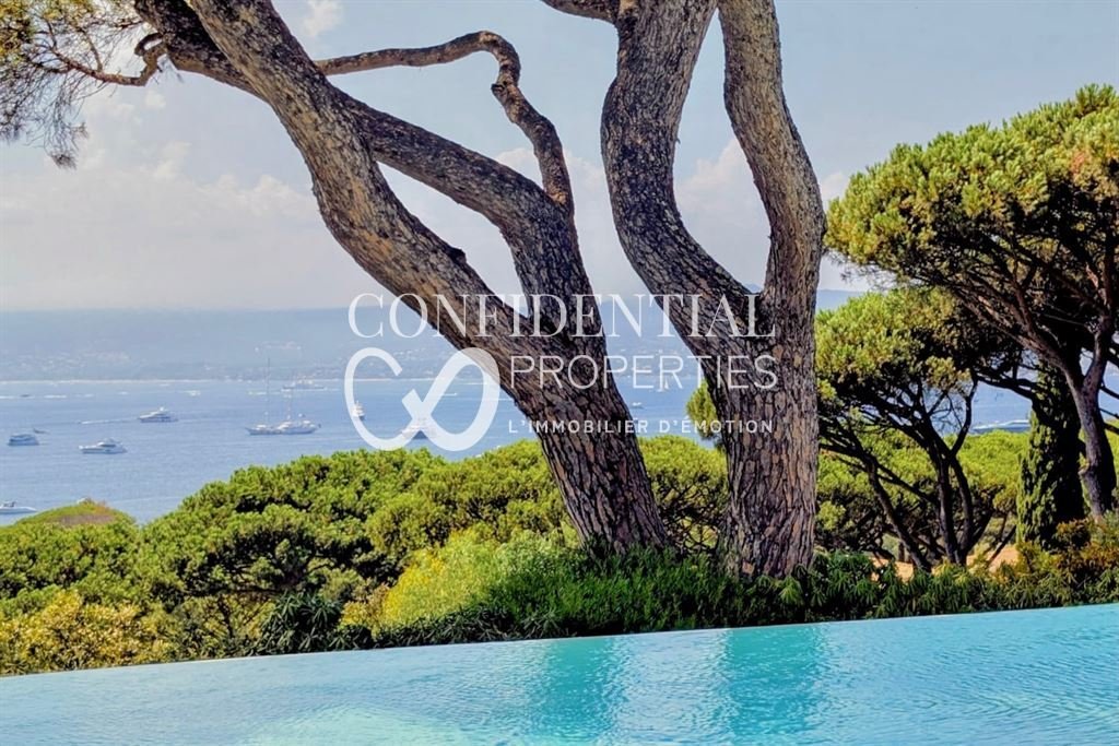 Villa in Zone Est Diffuse, Saint-Tropez, France 1 - 18669608
