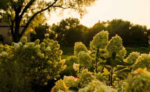 Land in Nashville, Tennessee, United States 1