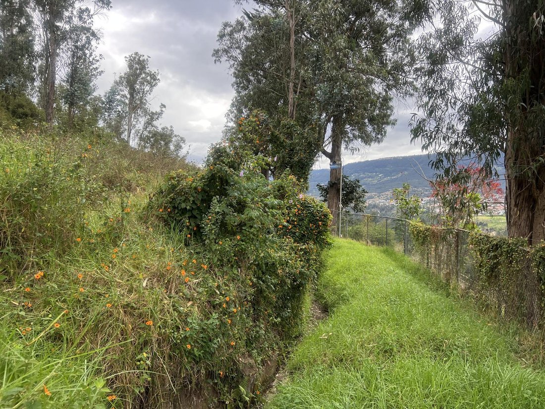Land in Quito, Pichincha, Ecuador 1 - 18661554