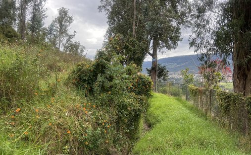 Terreno a Quito, Provincia del Pichincha, Ecuador 1