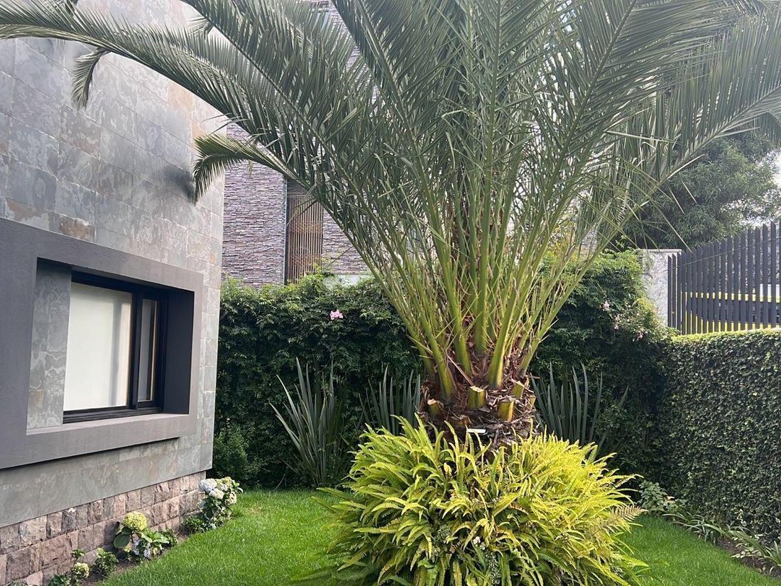 House in Quito, Pichincha, Ecuador 2 - 18661618
